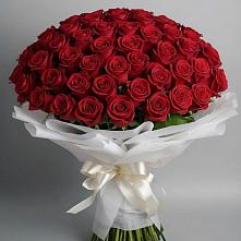 Букет 101 Красная роза Блэк Мэджик в Бокино