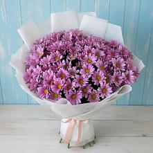 Букет цветов из:  Хризантемы в Бокино