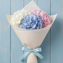 Букет цветов из:  Гортензия в Бокино