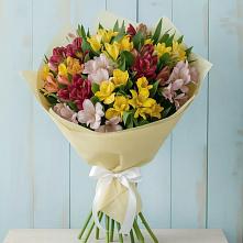 Букет цветов из:  Альстромерии в Бокино