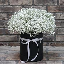 Цветочная композиция из Гипсофила в шляпной коробке в Бокино