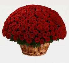 Премиум букет из: Розы в Бокино